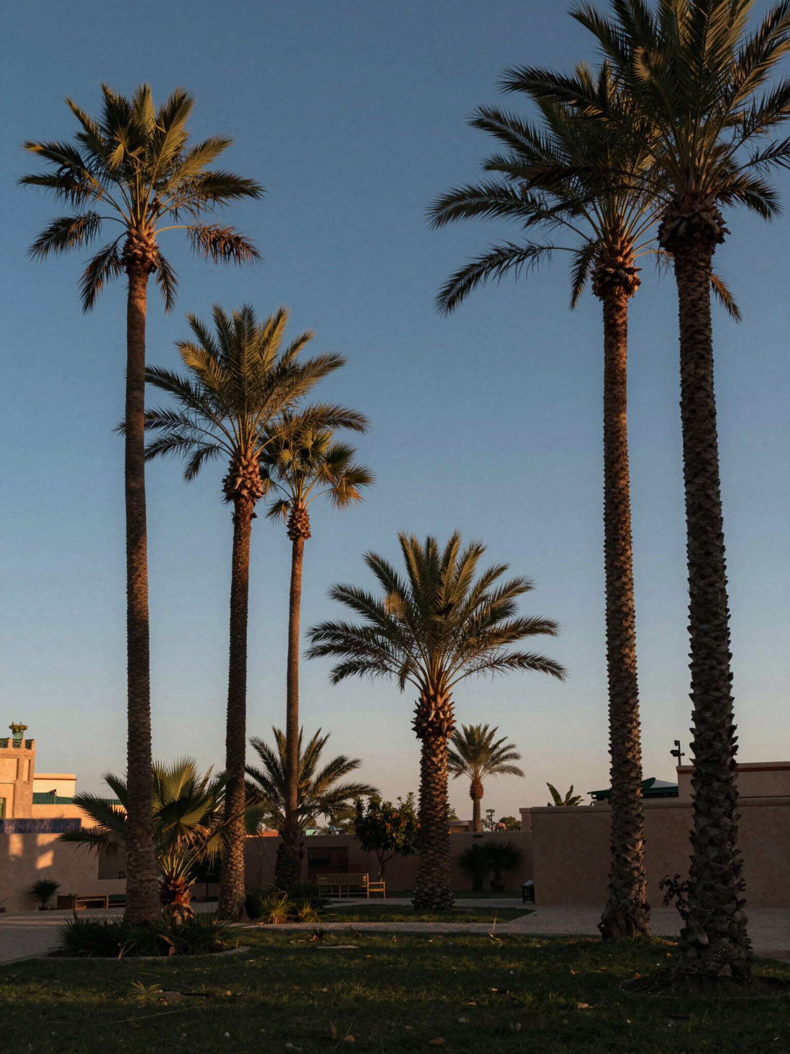 Vallée de l’Ourika